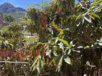 Verkoop - Villa - Orba Valley - Orba