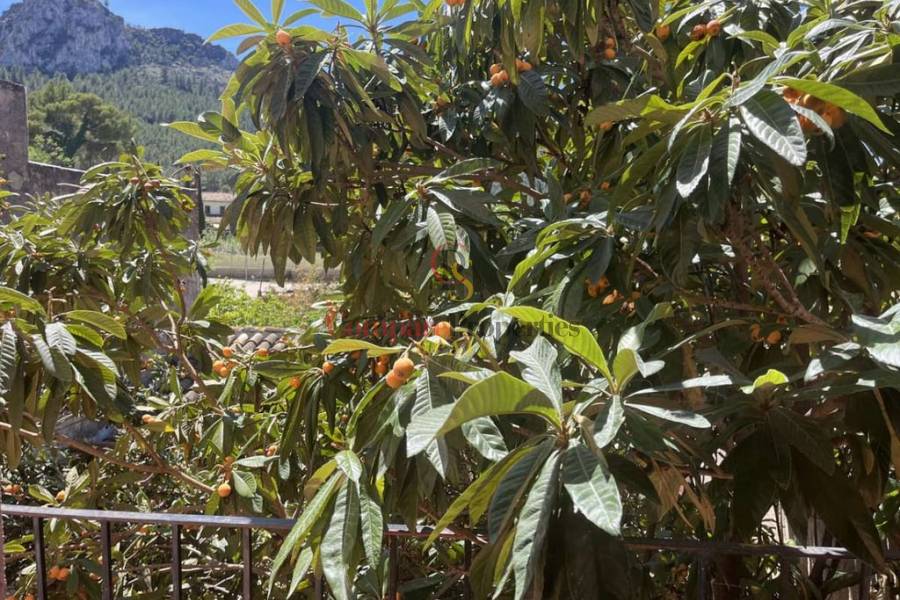 Verkoop - Villa - Orba Valley - Orba