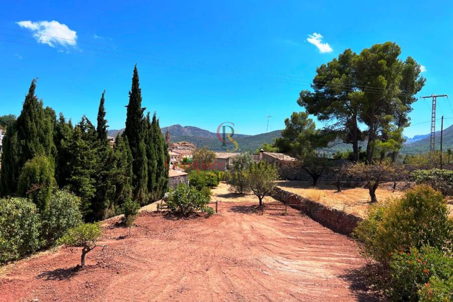 Vente - Villa - Jalon Valley - Pueblo