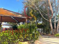 Sale - Duplex and Penthouses - Dénia