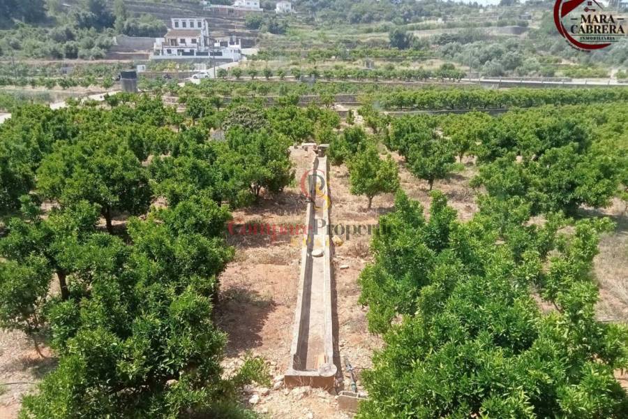 Sale - Apartment - La Font d'en Carròs - La Font d'en Carrós
