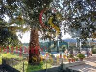 Vente - Villa - Dénia - Costa Blanca