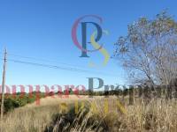 Sale - Apartment - El Vergel - 