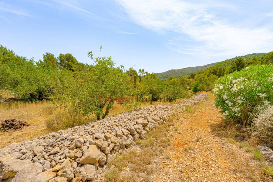 Sale - Villa - Jalon Valley - Comunidad valenciana