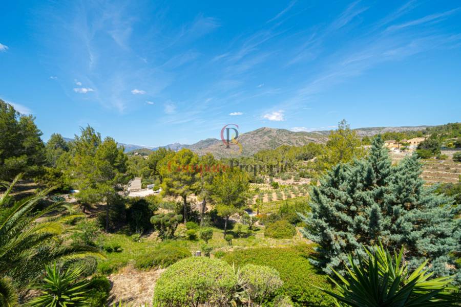 Vente - Villa - Jalon Valley - Campo