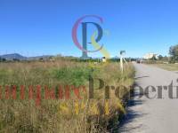 Sale - Apartment - Oliva - 
