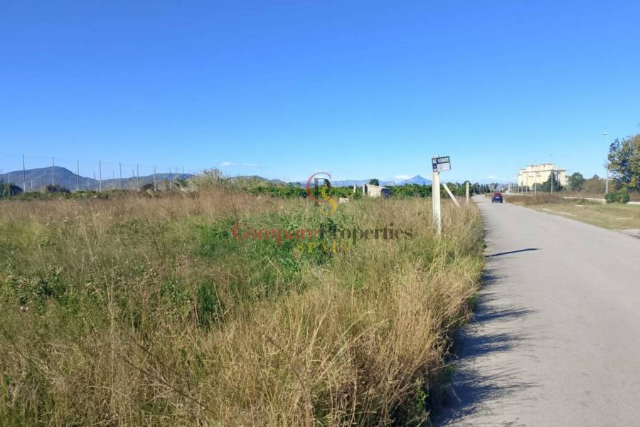 Sale - Apartment - Oliva - 