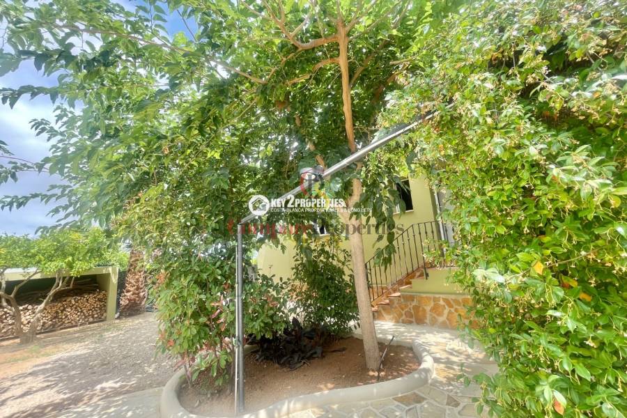 Venta - Villa - Pedreguer