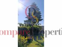 Sale - Apartment - Oliva - 