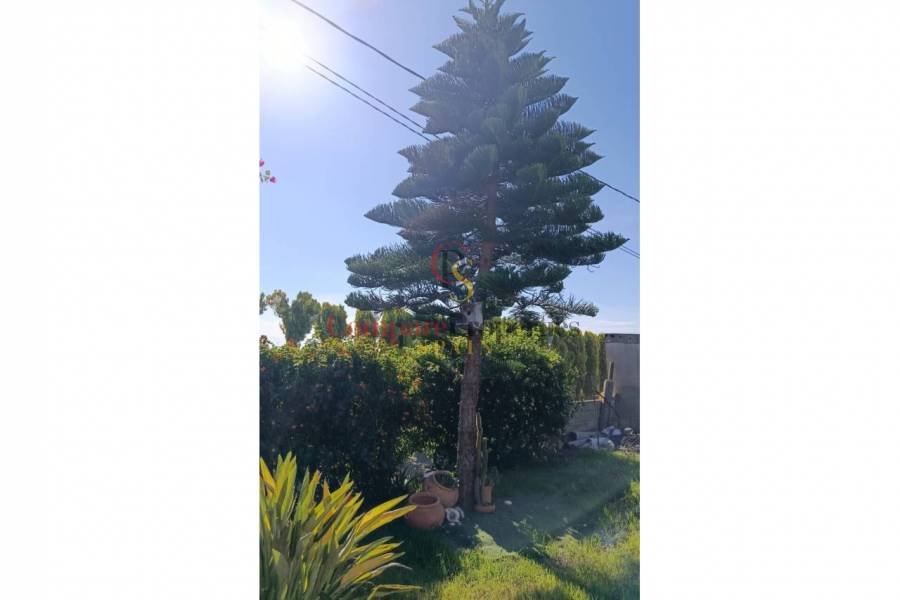 Sale - Apartment - Oliva - 