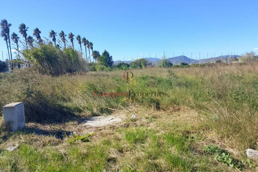 Sale - Apartment - Oliva - 
