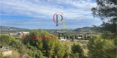 Apartment - Sale - Ador - 