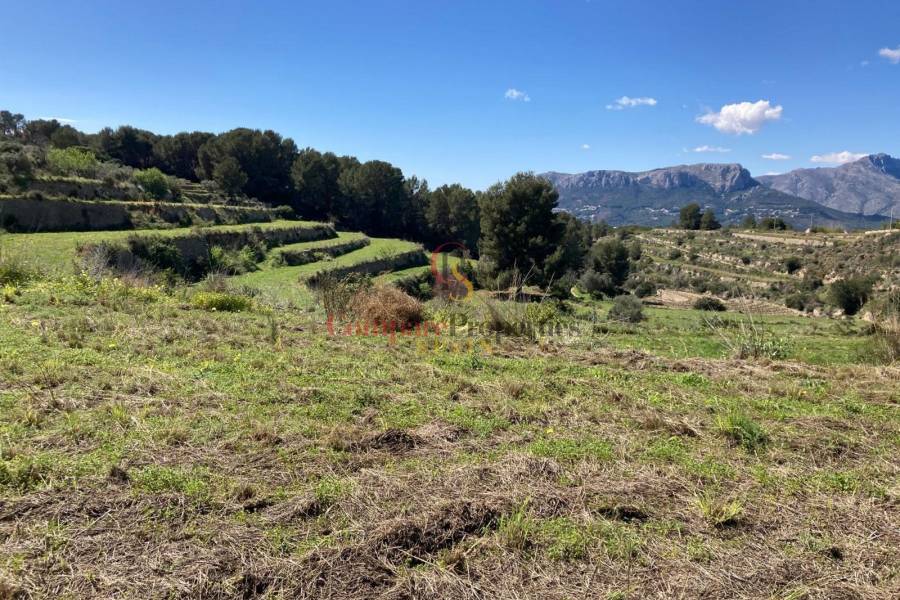 Venta - Plot - Benissa - Partida Biasner