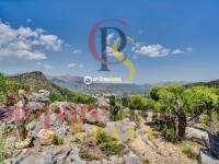 Sale - Villa - Orba