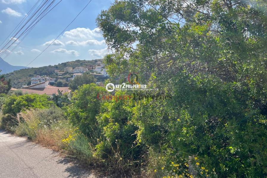 Venta - Plot - Pedreguer