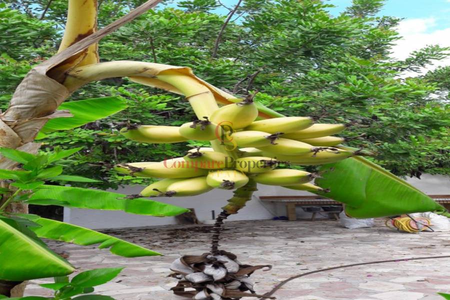 Venta -  - Jávea - Montgo - Valls