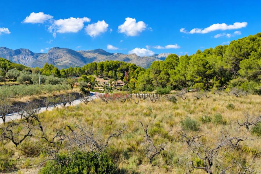 Venta - Plot - Jalon Valley - Murla
