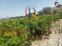 Sale - Apartment - La Font d'en Carròs - La Font d'en Carrós