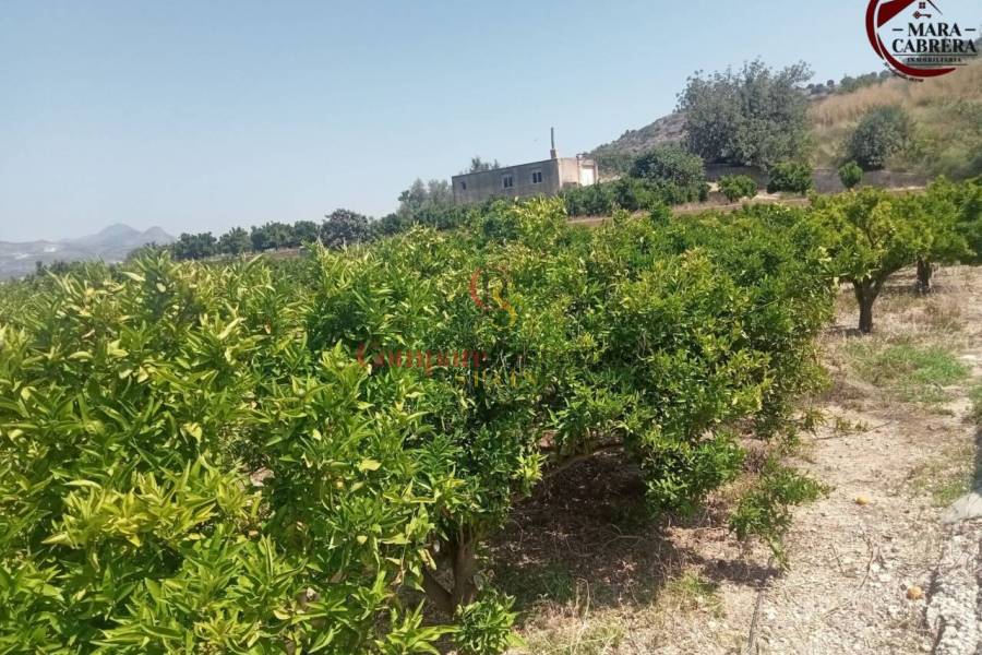 Sale - Apartment - La Font d'en Carròs - La Font d'en Carrós