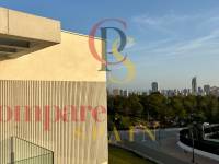 Nueva construcción  - Villa - Finestrat