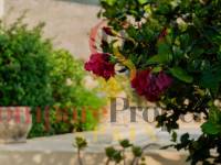 Venta - Villa - Pedreguer