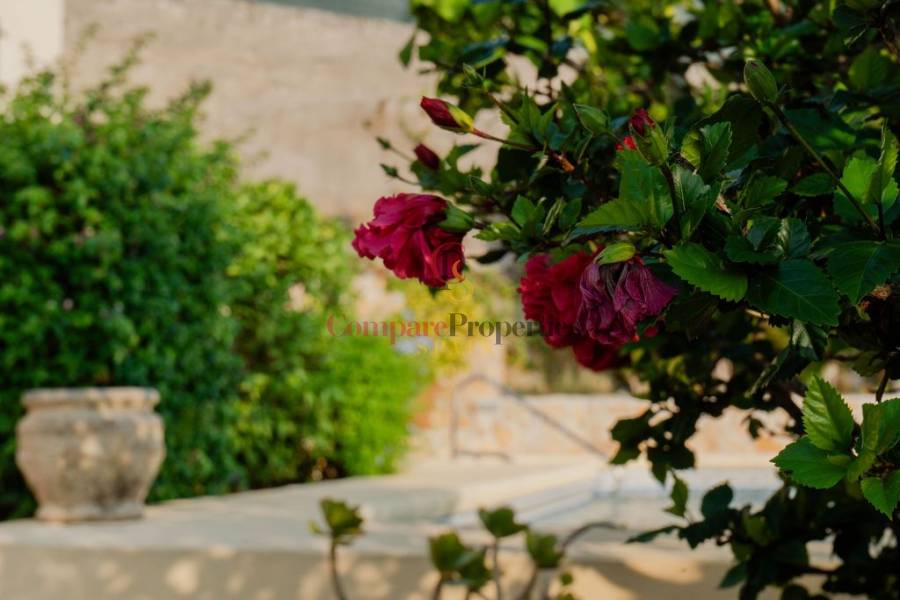 Venta - Villa - Pedreguer