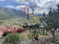 Venta - Villa - Pedreguer