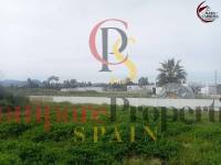 Sale - Apartment - Oliva - 