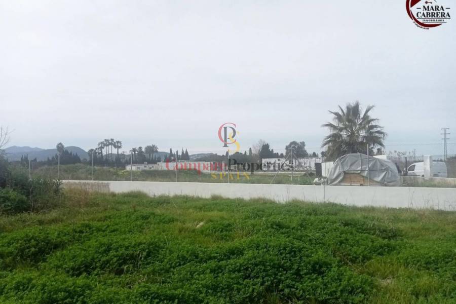 Sale - Apartment - Oliva - 
