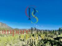 Sale - Villa - Orba Valley - Campo