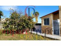 Sale - Apartment - Oliva - 
