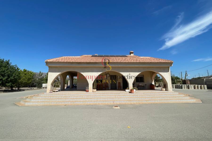 Verkoop - Villa - Crevillente