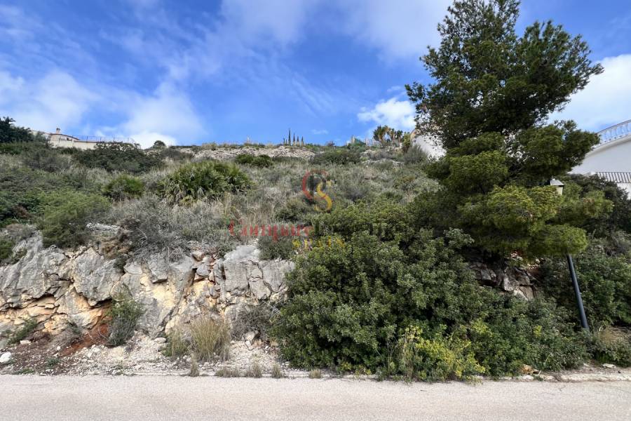 Verkauf - Plot - Pedreguer - 