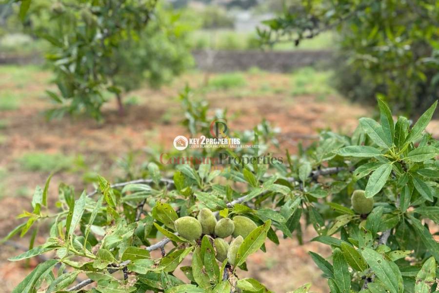 Verkauf - Plot - Dénia - Denia