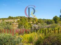 Sale - Villa - Jalon Valley - Campo