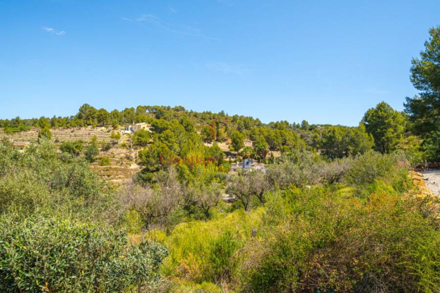 Verkoop - Villa - Jalon Valley - Campo