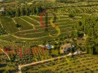 Verkauf - Villa - Jalon Valley - Comunidad valenciana