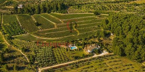 Villa - Verkauf - Jalon Valley - Comunidad valenciana