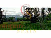 Sale - Apartment - Oliva - 