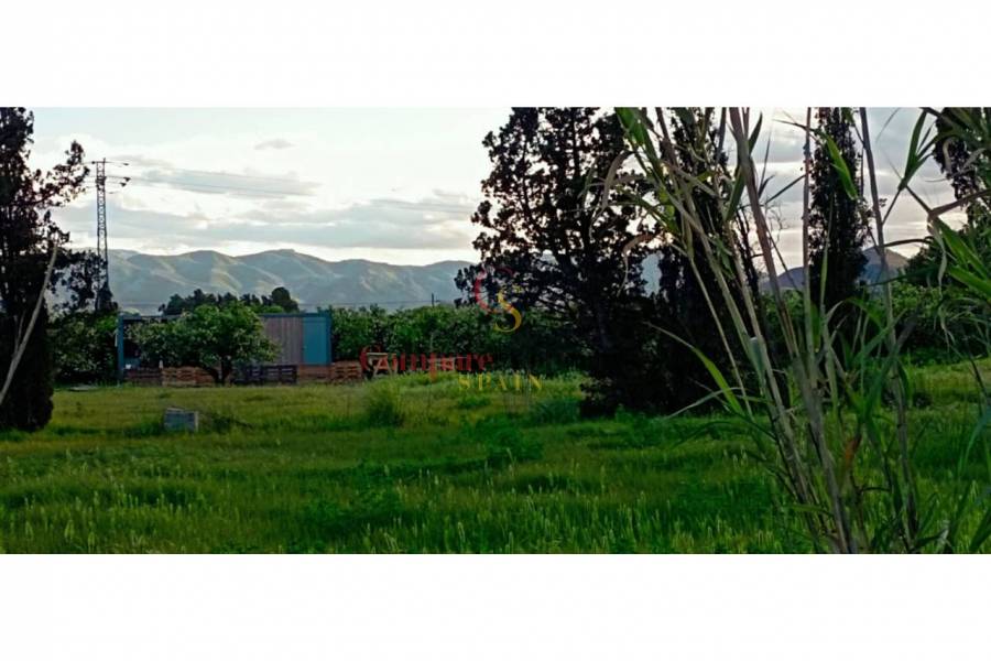 Sale - Apartment - Oliva - 