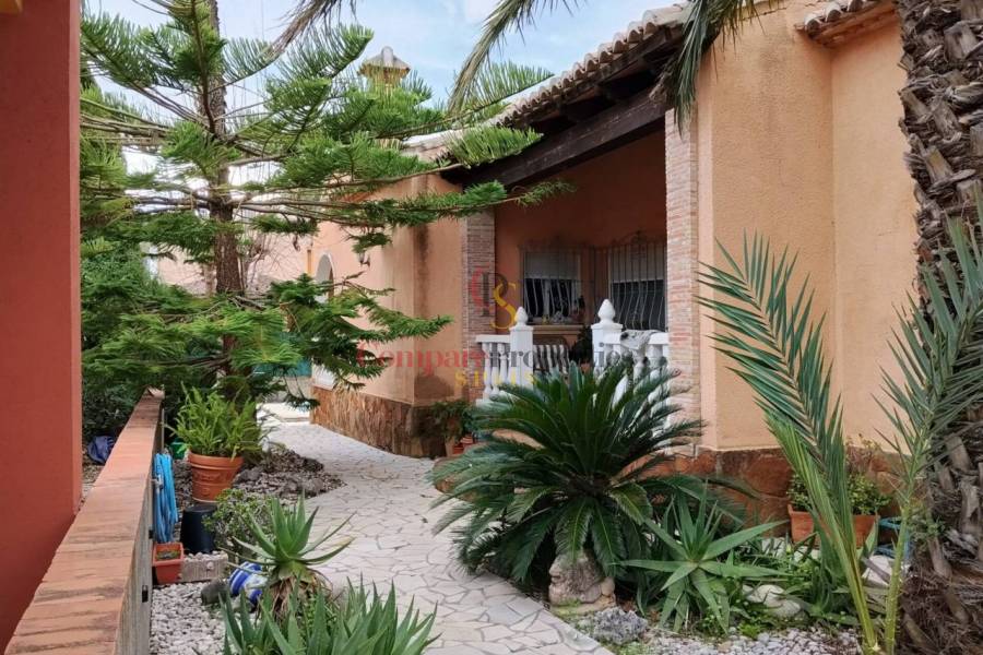 Sale - Apartment - Ador - 