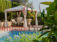 Venta - Villa - Pedreguer