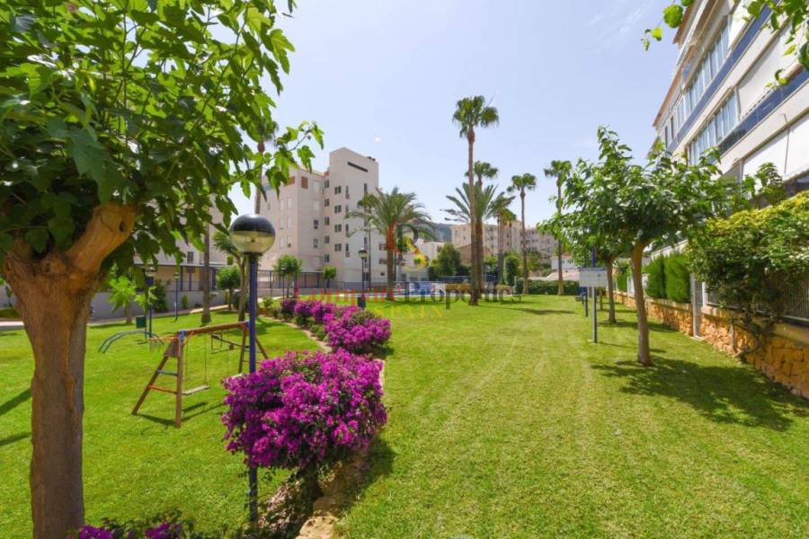 Verkauf - Apartment - Albir