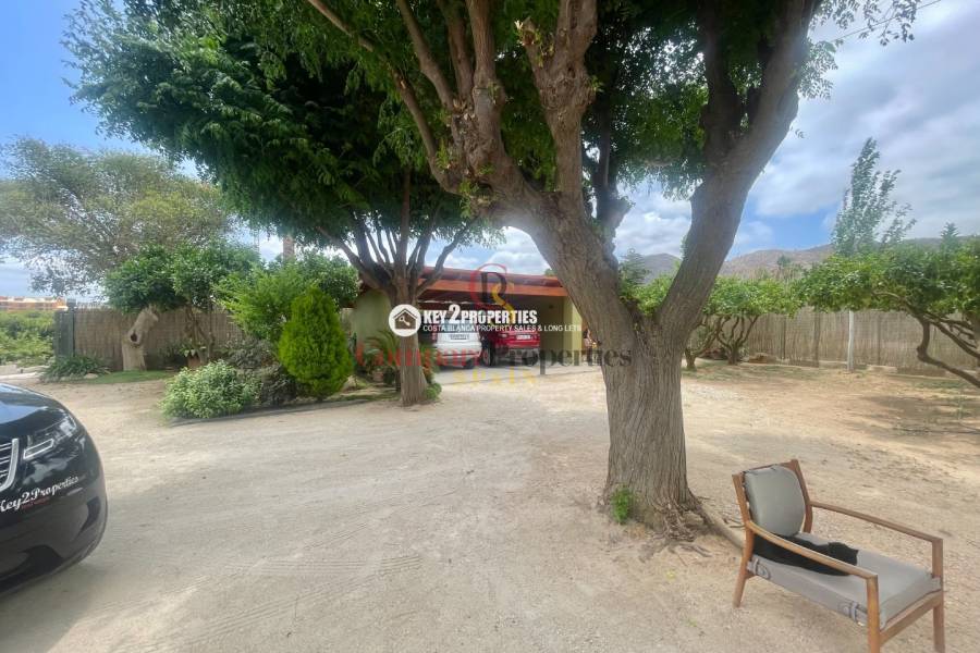 Venta - Villa - Pedreguer
