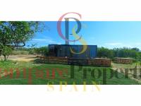 Sale - Apartment - Oliva - 