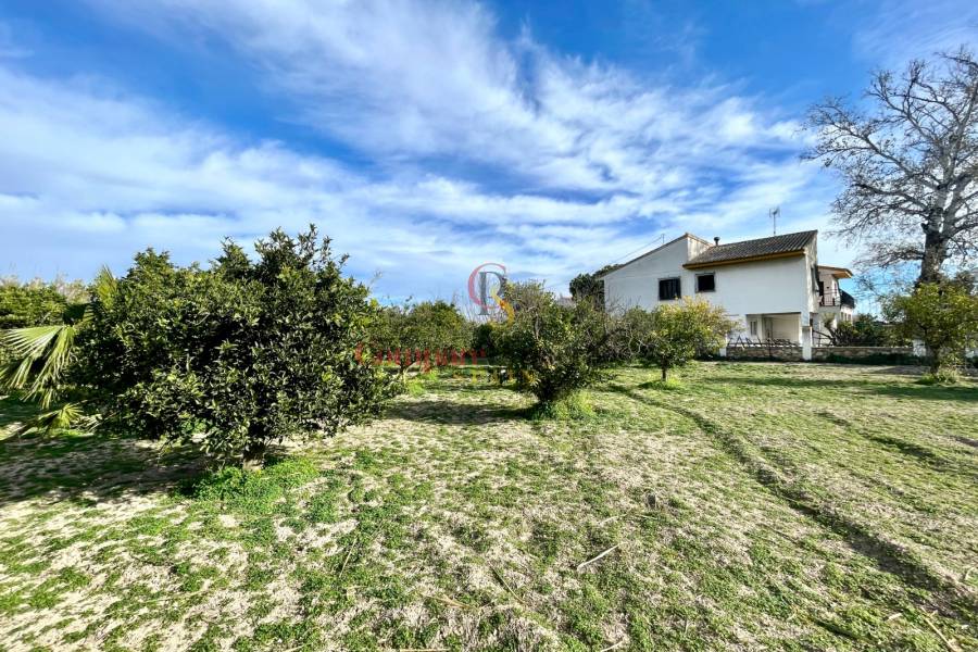 Vente - Villa - Benejuzar - Comunidad Valenciana