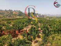Sale - Apartment - La Font d'en Carròs - La Font d'en Carrós