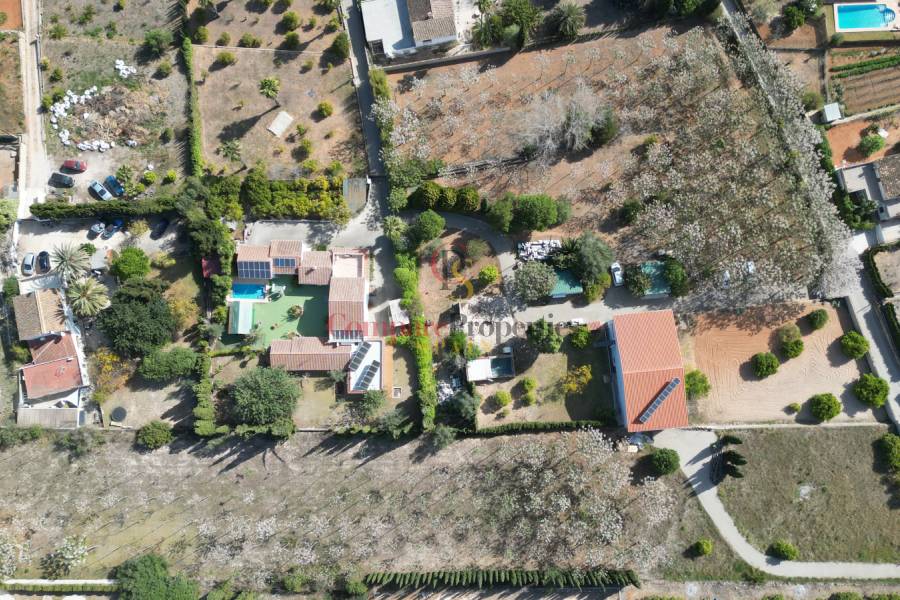 Venta - Villa - Pedreguer