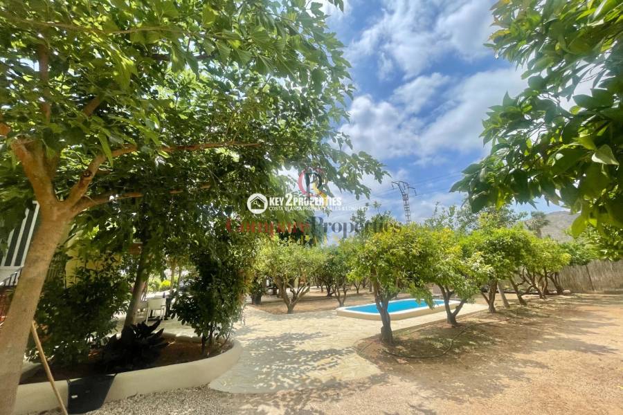 Venta - Villa - Pedreguer