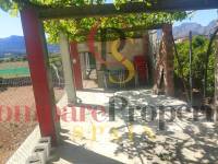 Sale - Apartment - Ador - 